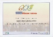 sodex 2008 opt.jpg